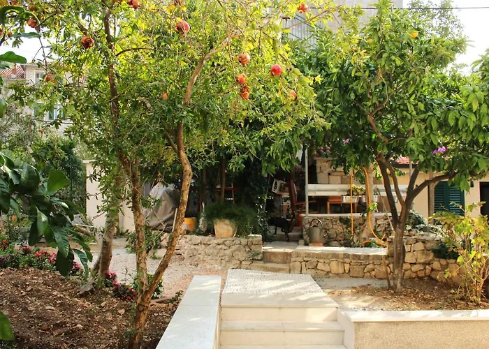 Luxury Roza * 斯普利特